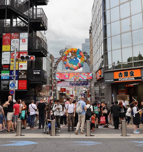 Wandelend dwars door het grote Tokyo